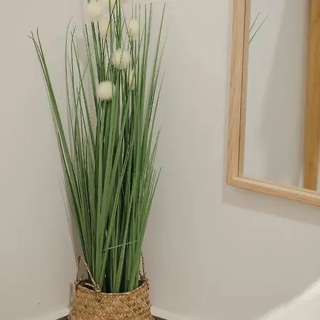 Апартаменты Urban Space Салоники